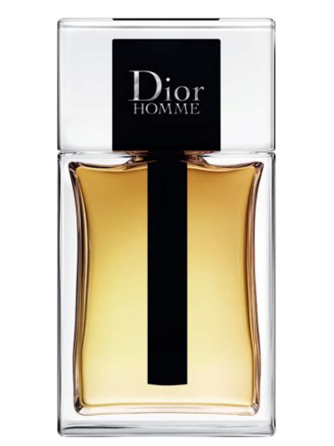 dior homme pre 2020|Dior Homme original uk.